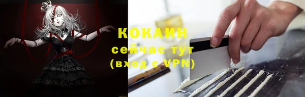 гашик Михайловск