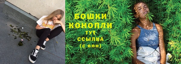 гашик Михайловск
