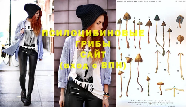 MDMA Premium VHQ Медвежьегорск