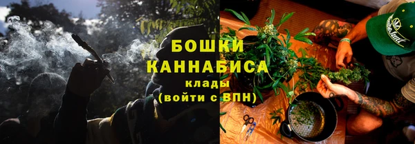 гашик Михайловск