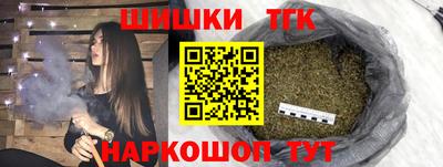 индика Заводоуковск