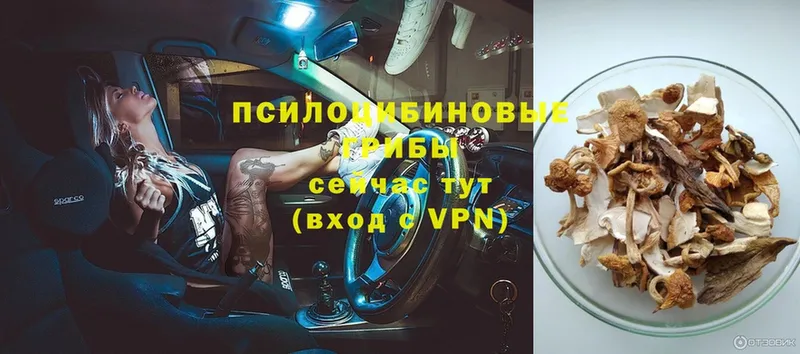 Псилоцибиновые грибы Magic Shrooms  цена   маркетплейс формула  Родники 