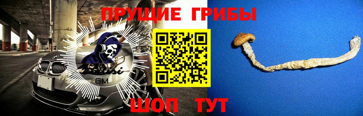 Галлюциногенные грибы ЛСД Родники