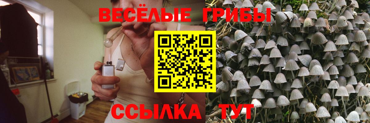 Родники  Галлюциногенные грибы мицелий  Вход с VPN 