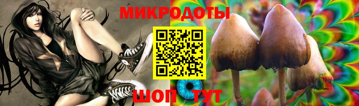 Псилоцибиновые грибы Cubensis  Галлюциногенные грибы ЛСД  Родники 